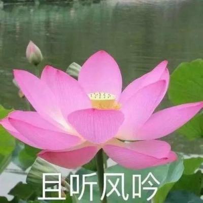 【图集】广东中山坦洲镇开展全员核酸检测